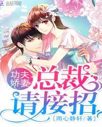 功夫娇妻,总裁请接招