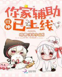 衍神,你家辅助已上线!