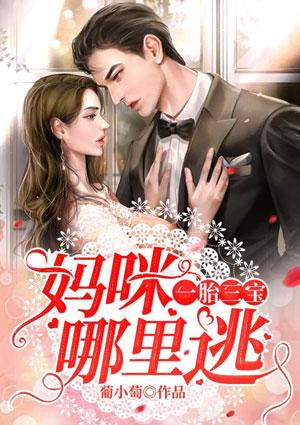 一胎三宝:妈咪哪里跑