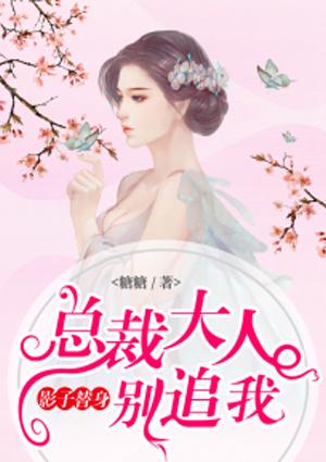 影子替身:总裁大人别追我