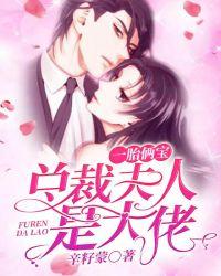 一胎俩宝:总裁夫人是大佬