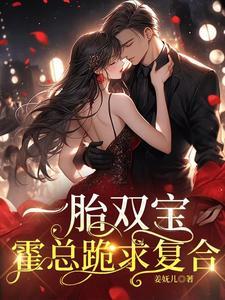 一胎双宝,霍总跪求复合